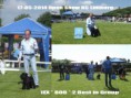 /album/fotogallerij/collage-2014-05-17-2-jpg/